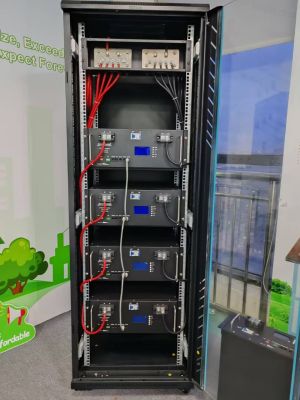 9.6kW LiFePO4 СОЛАРНА БАТЕРИЯ EverExceed 48V 200Ah 6000 Cycles