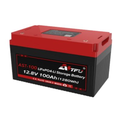 2 x 12.8V 100Ah 1280Wh LiFePO4 Батерия AST с Bluetooth и Подгравяне