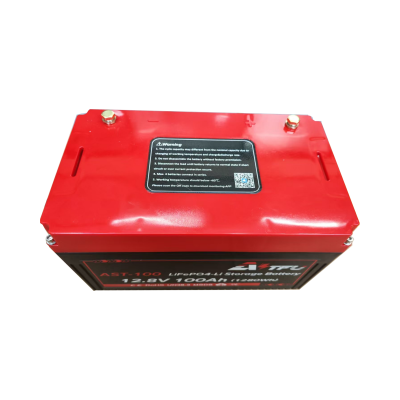 2 x 12.8V 100Ah 1280Wh LiFePO4 Батерия AST с Bluetooth и Подгравяне